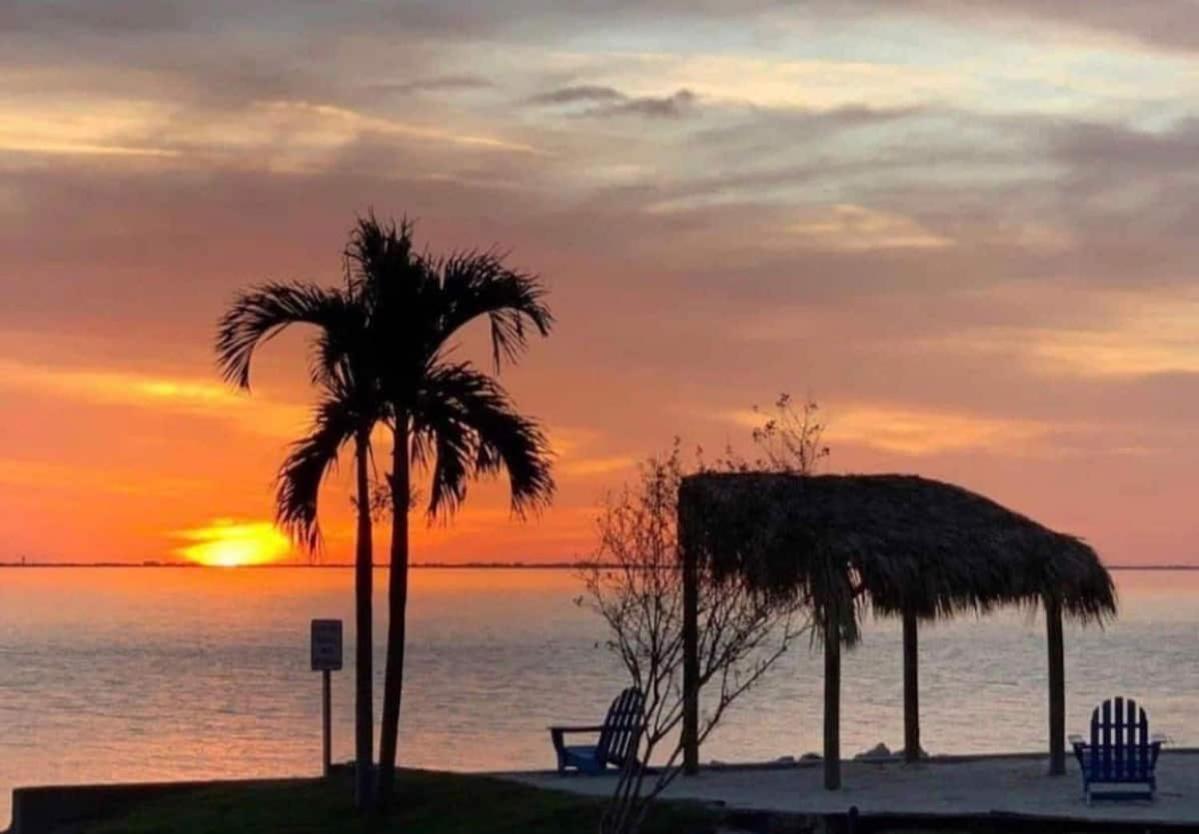 Amazing Waterfront Views Resort, Enjoy Heated Pool & Sunset! タンパ エクステリア 写真
